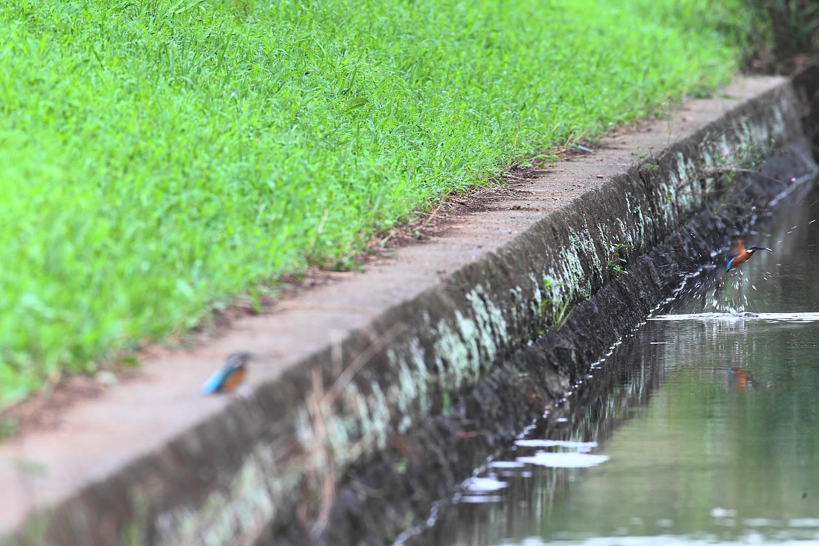 ��̕���