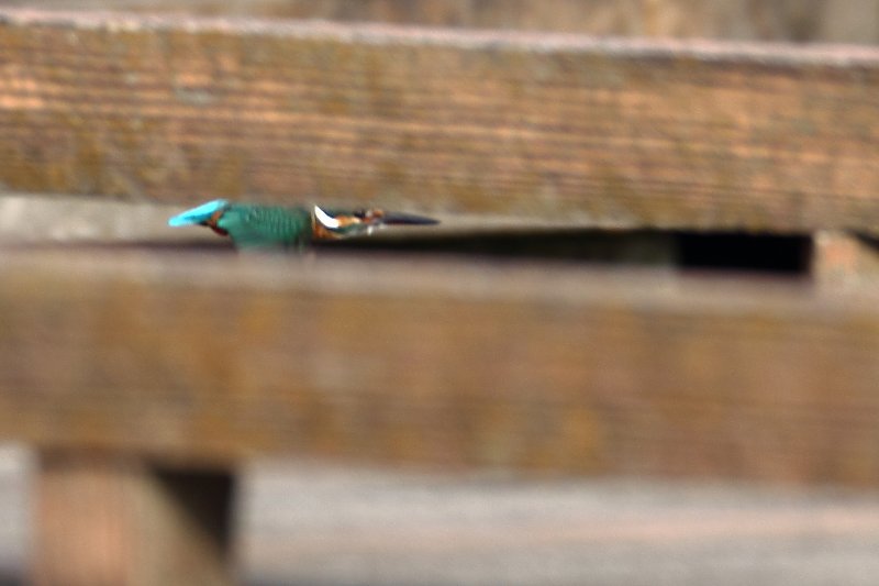 ��̕���