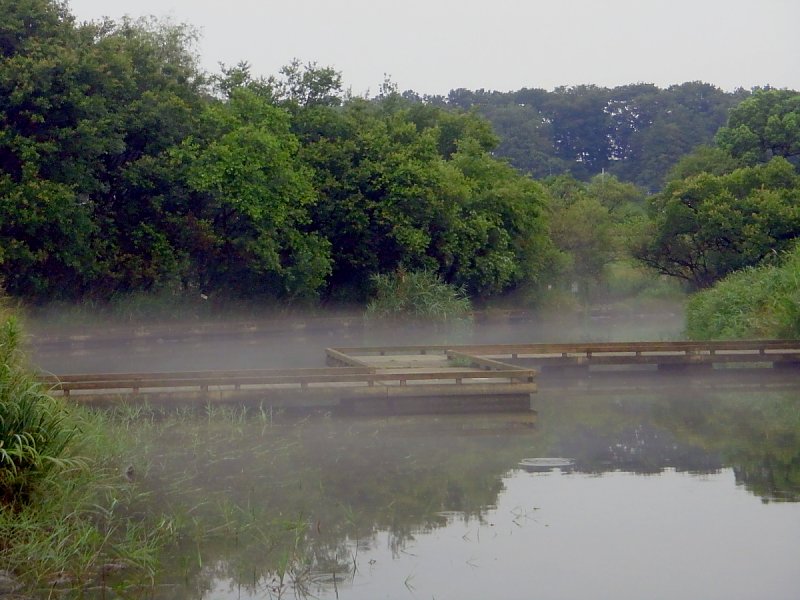 ��̕���