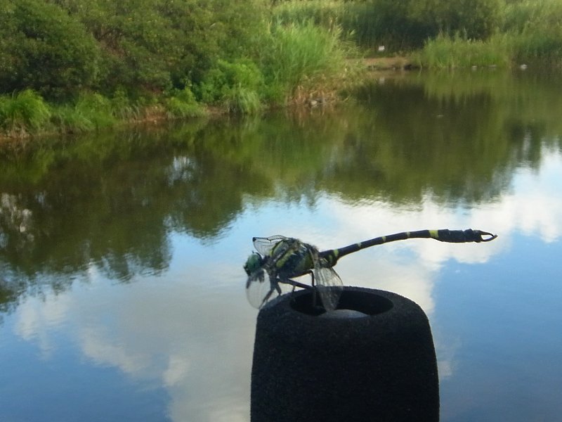 ��̕���