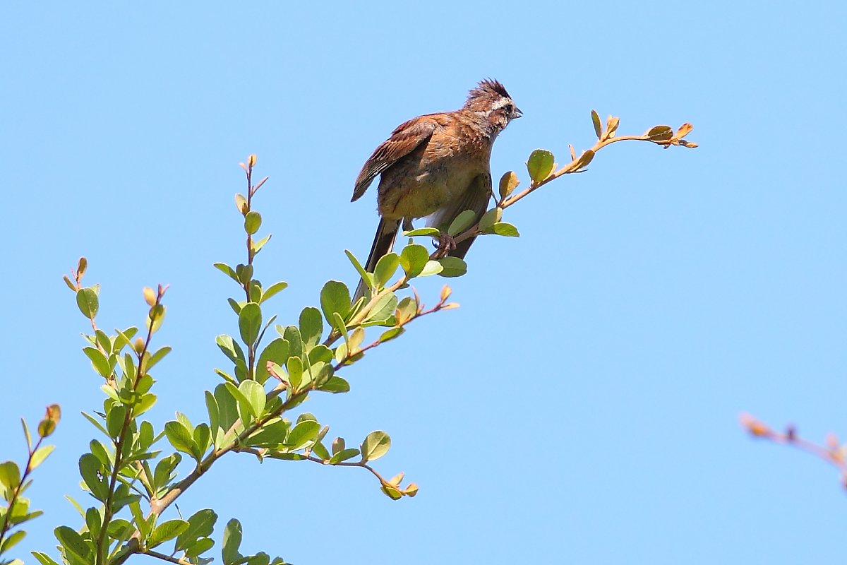 ��̕���