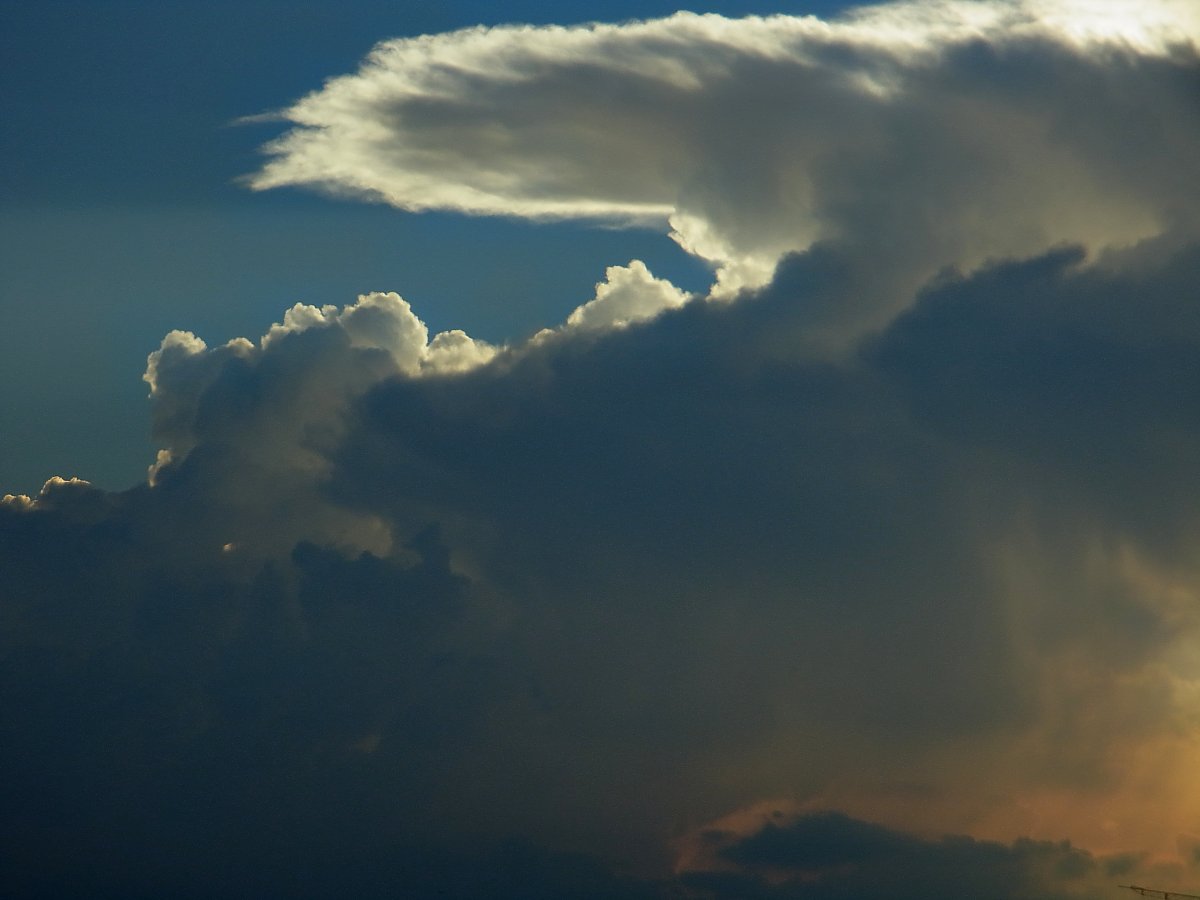 ��̕���