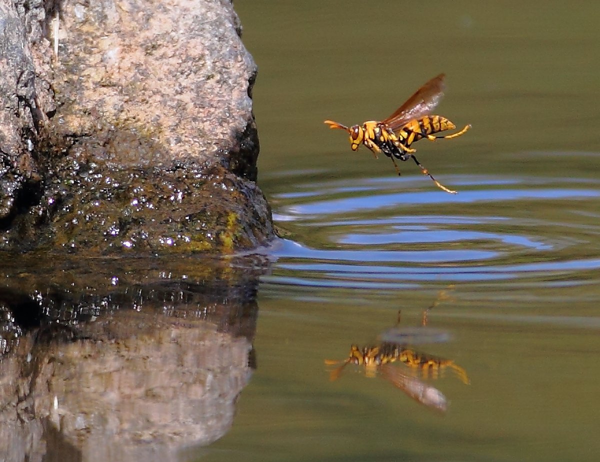 ��̕���