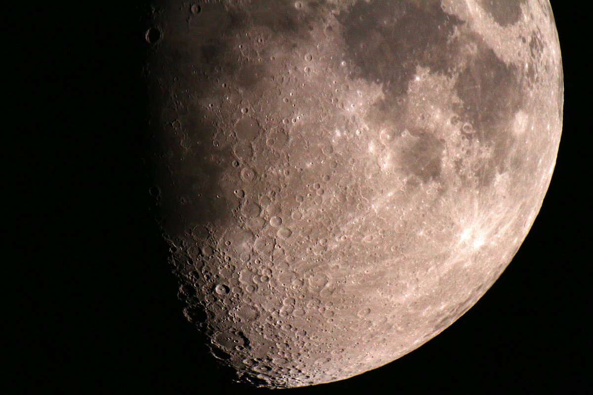 ��̕���