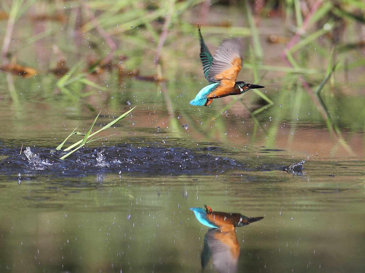 ��̕���