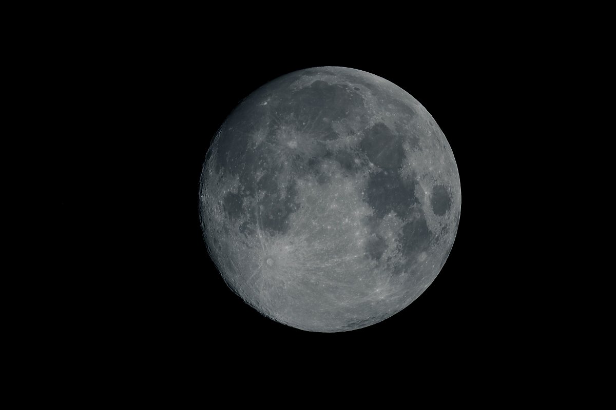 ��̕���