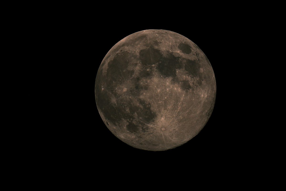 ��̕���