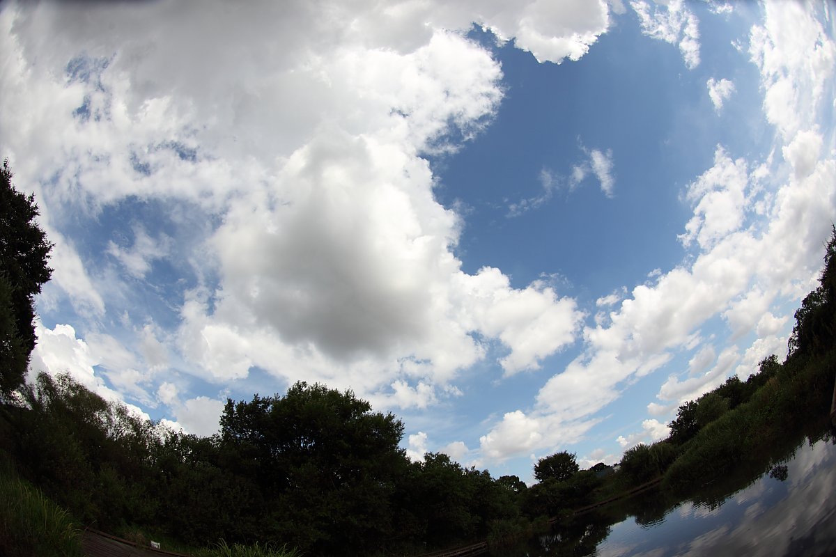 ��̕���