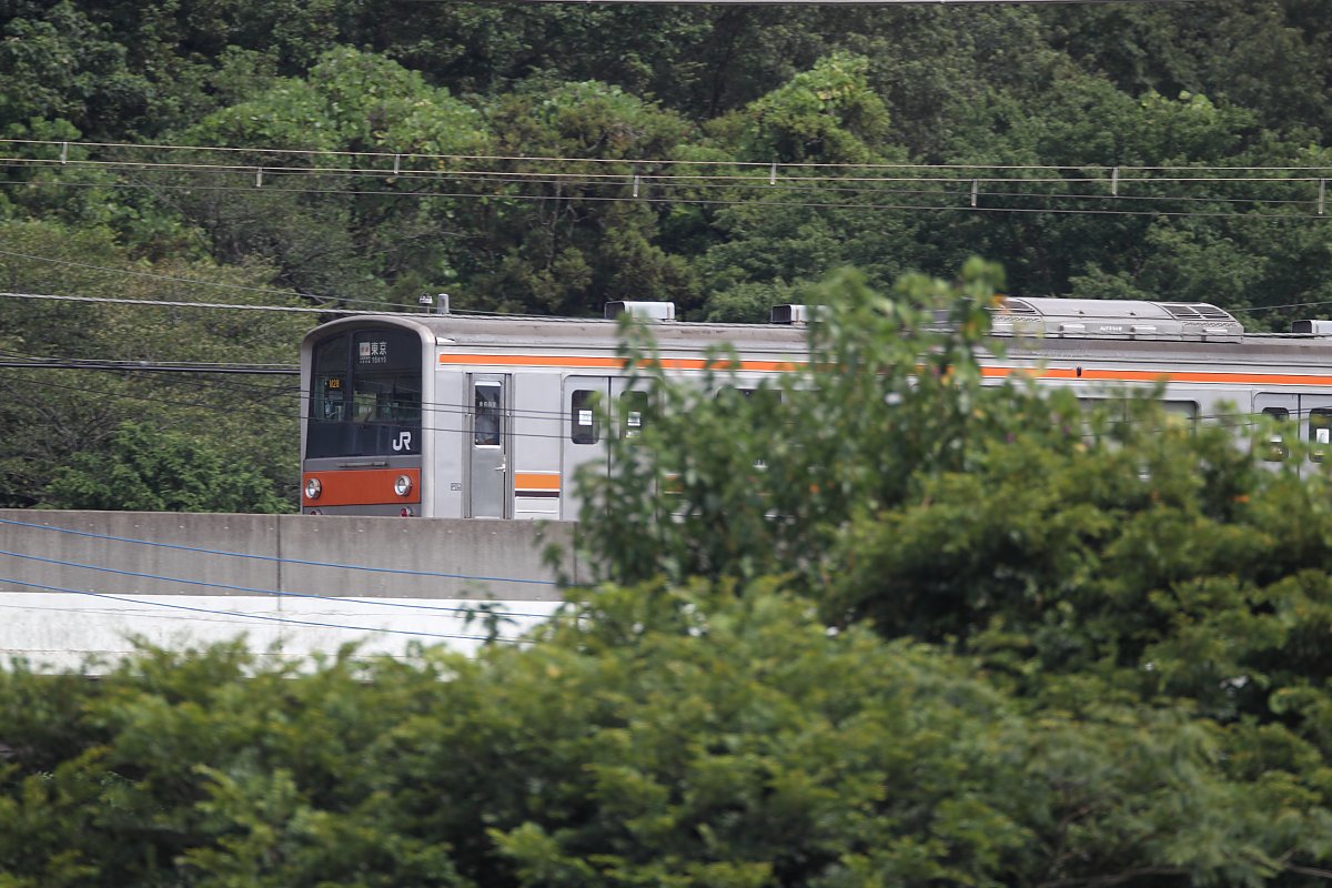 ��̕���