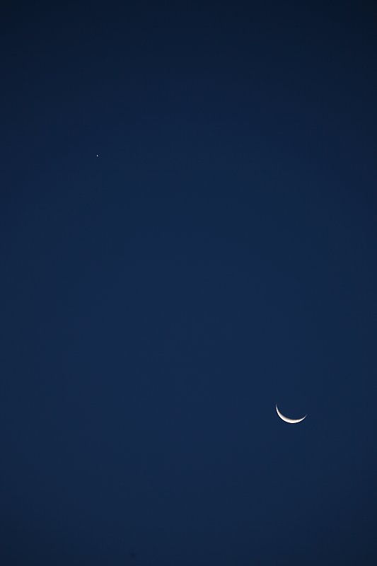 ��̕���