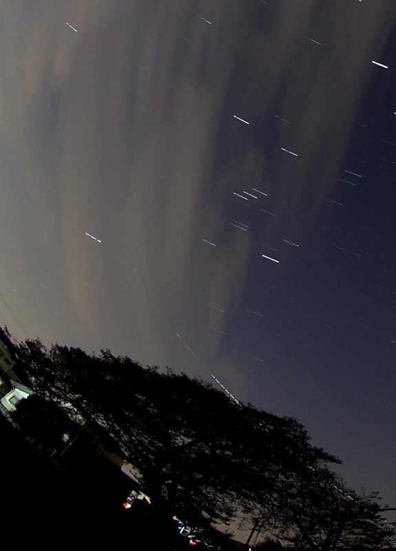 ��̕���