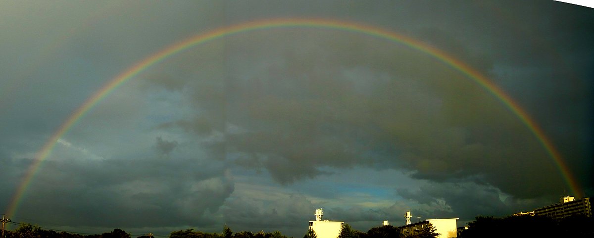 ��̕���