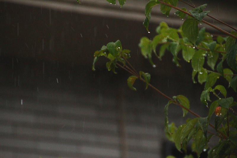 ��̕���