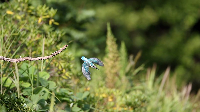 ��̕���