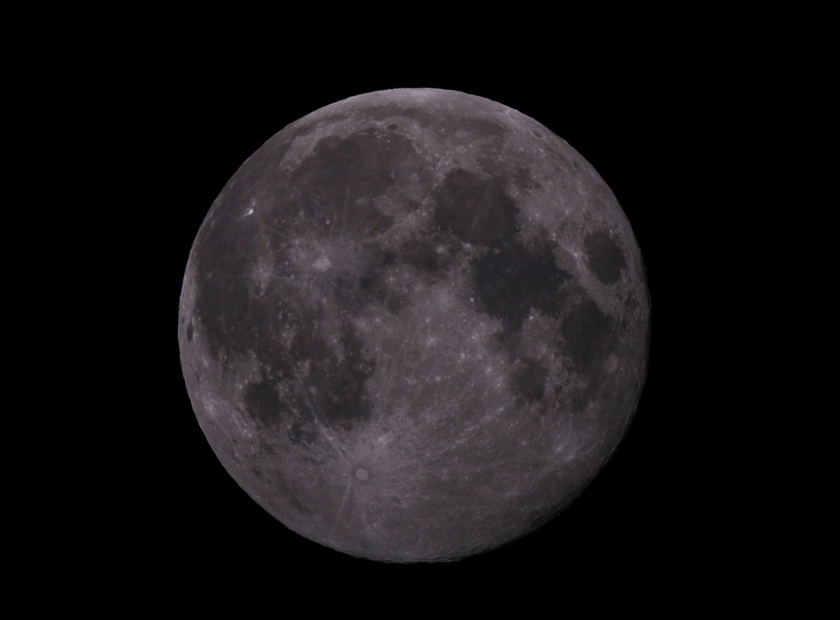 ��̕���