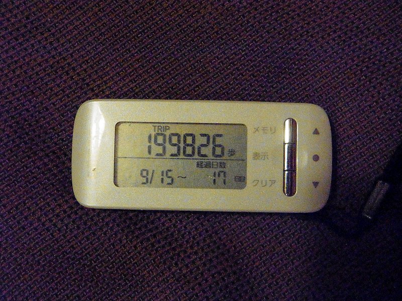 ��̕���