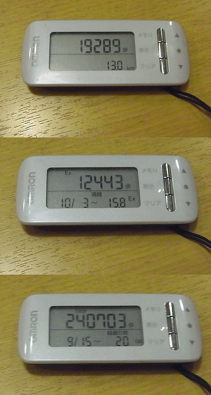 ��̕���