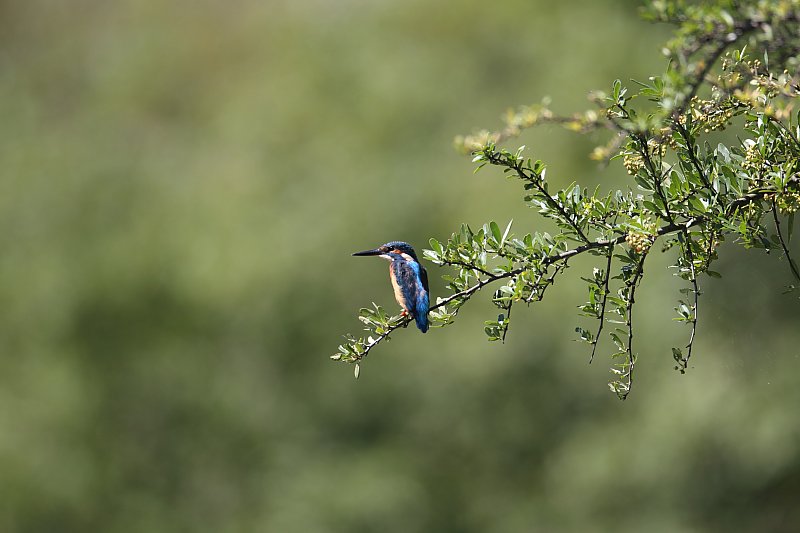 ��̕���