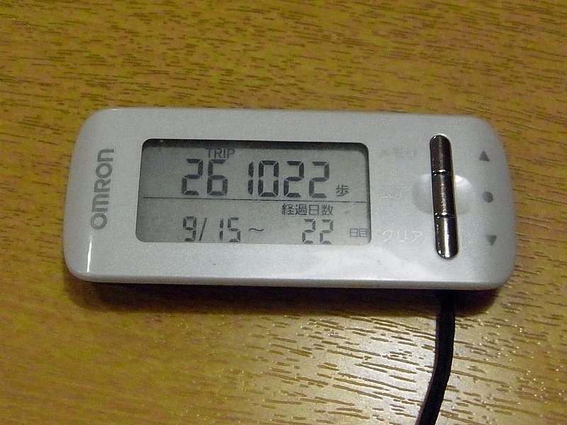 ��̕���