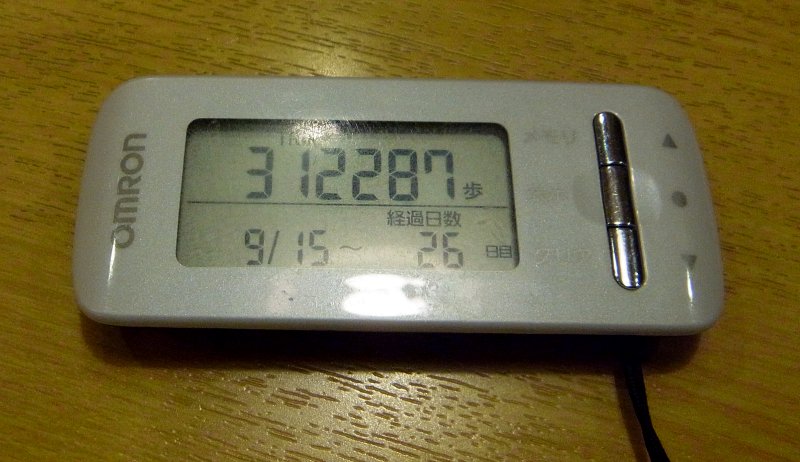 ��̕���