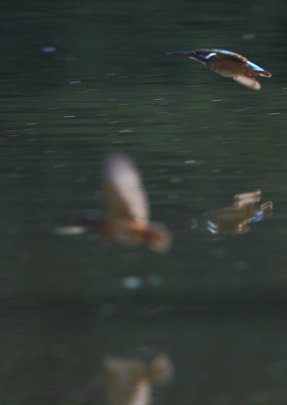 ��̕���