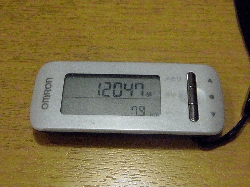 ��̕���