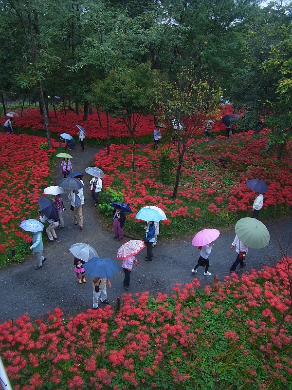 ��̕���