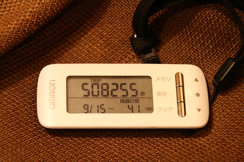 ��̕���