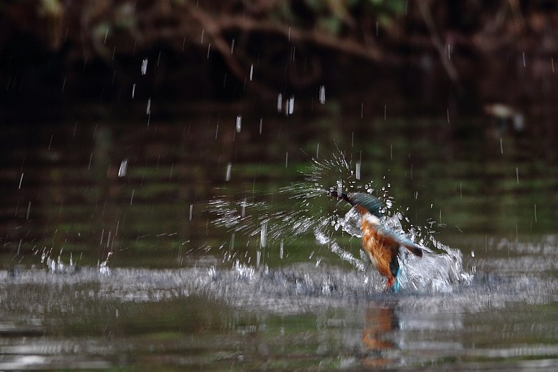 ��̕���