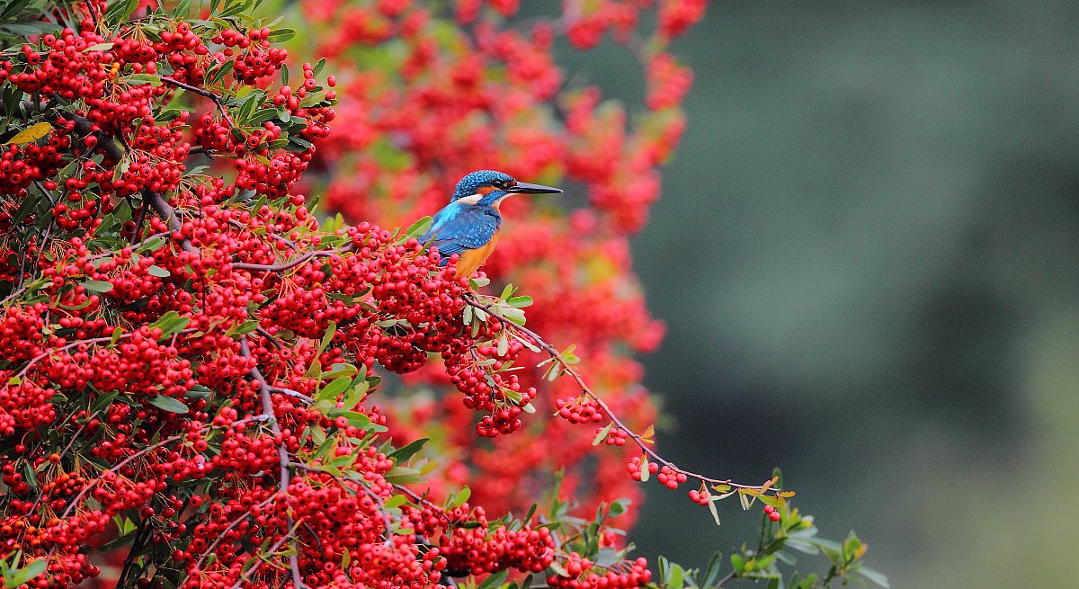 ��̕���