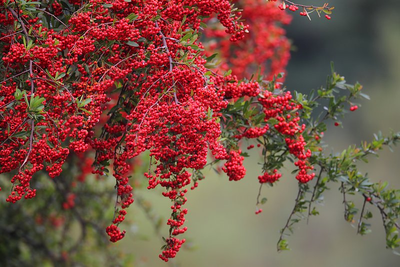 ��̕���