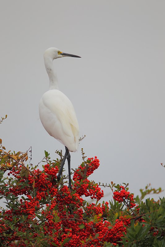 ��̕���