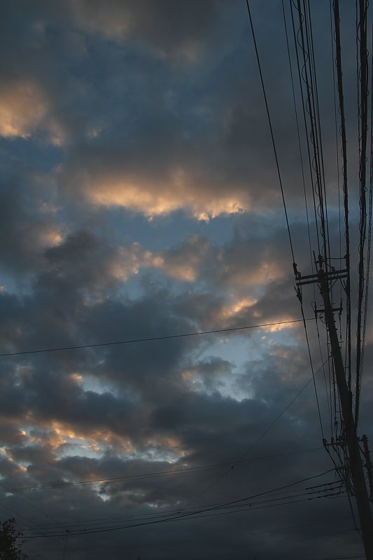 ��̕���