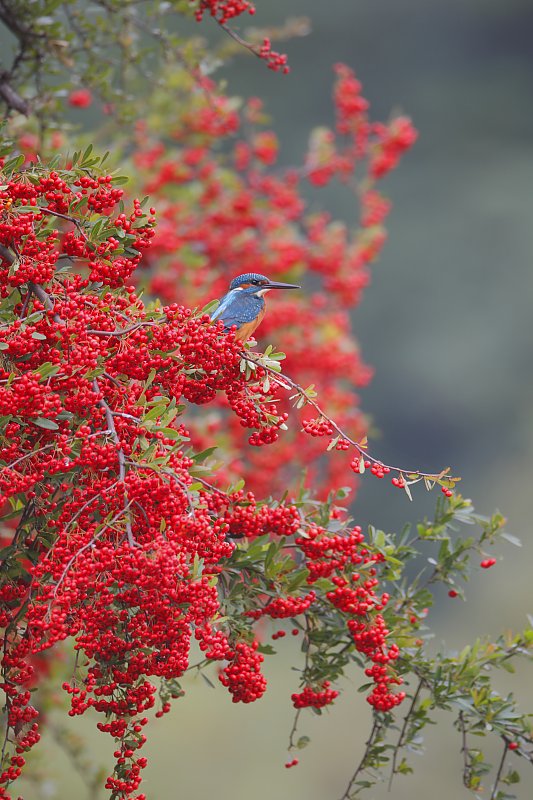 ��̕���