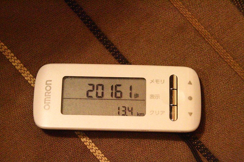 ��̕���