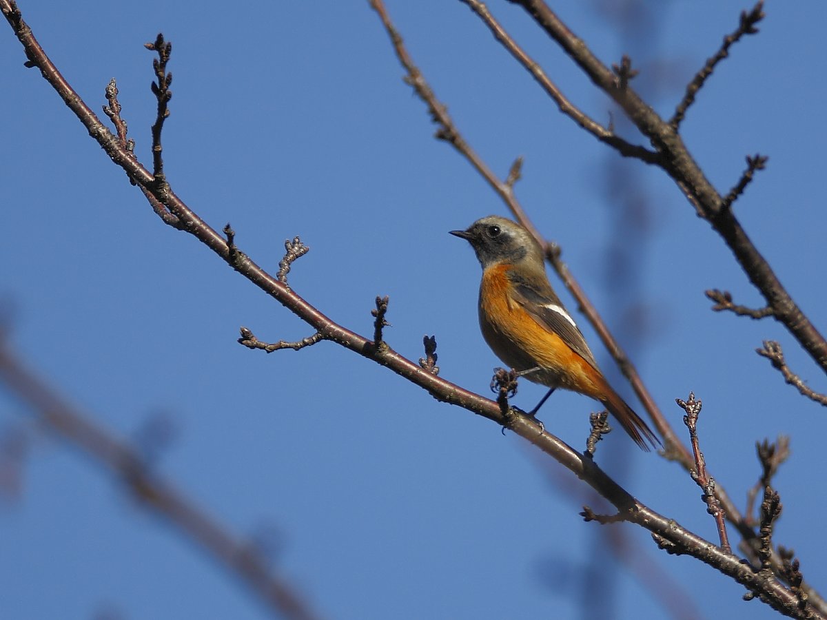 ��̕���