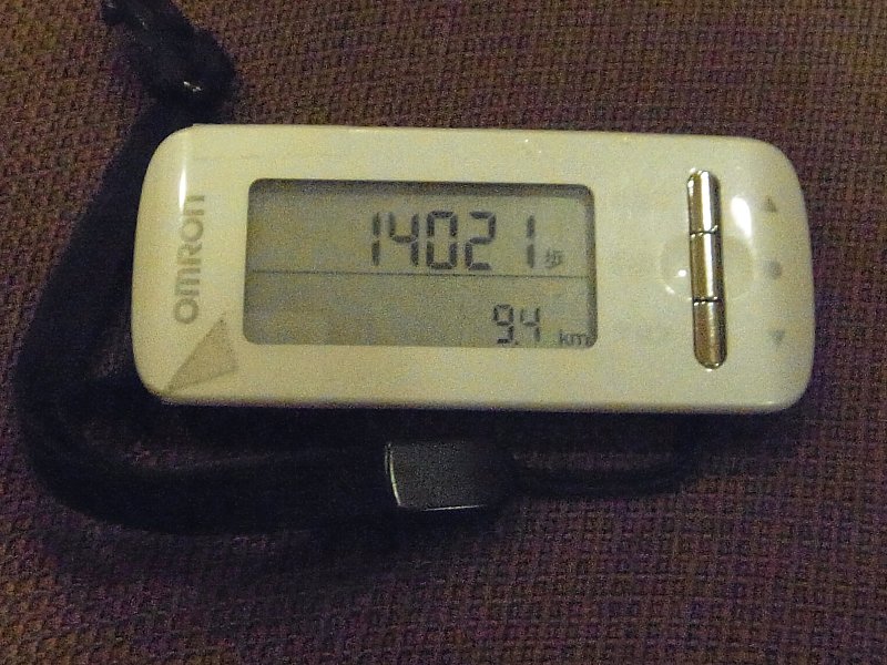 ��̕���