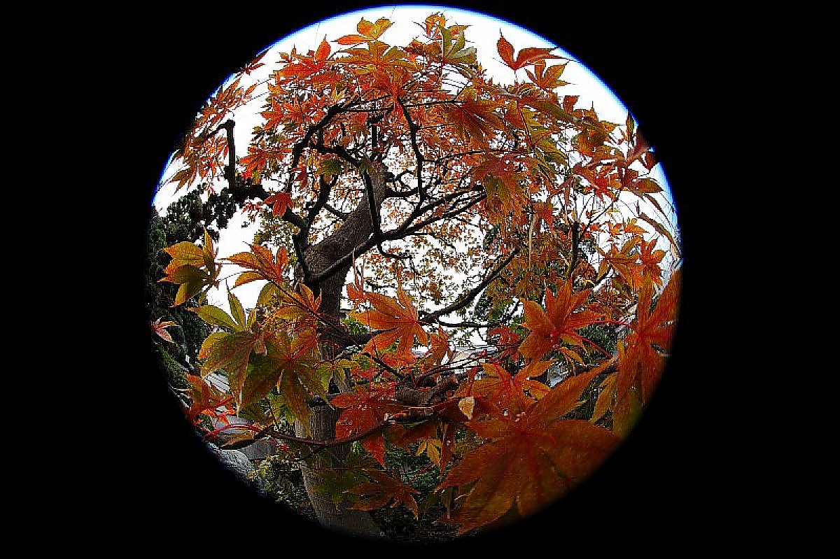 ��̕���