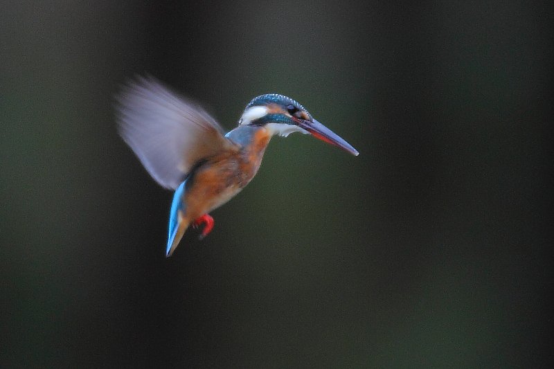 ��̕���