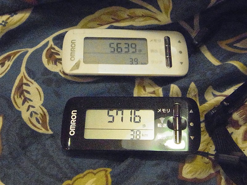 ��̕���