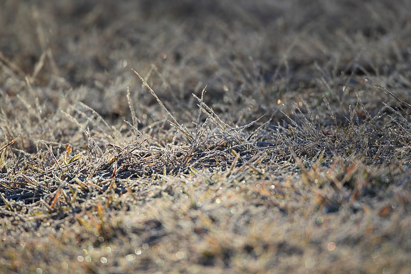 ��̕���