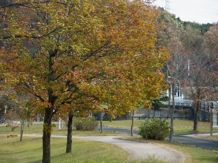 ��̕���