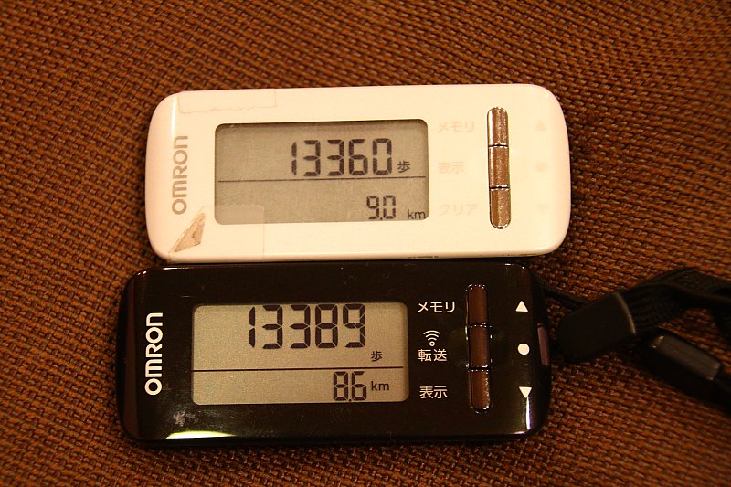 ��̕���