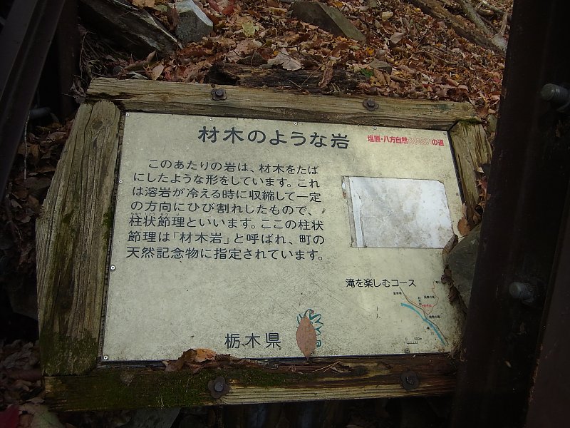 ��̕���