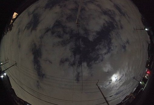 ��̕���