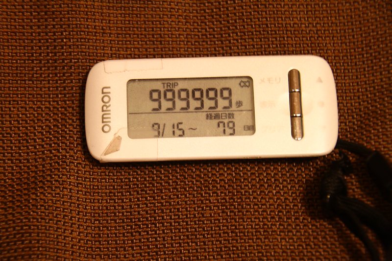 ��̕���