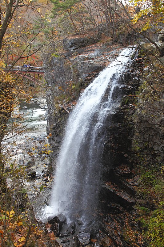 ��̕���