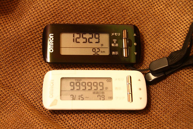 ��̕���