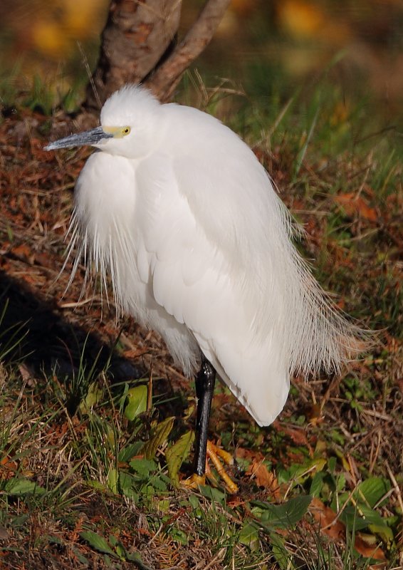 ��̕���