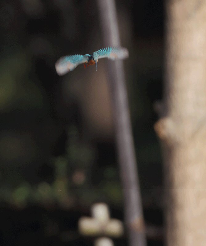 ��̕���